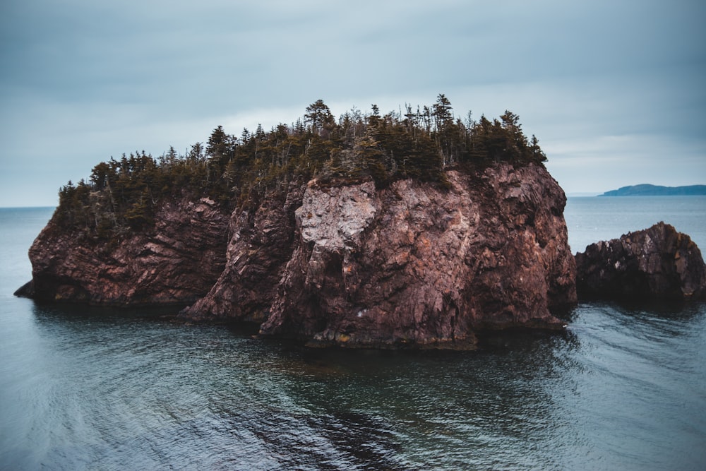 brown and green rock formation near body of water during daytime