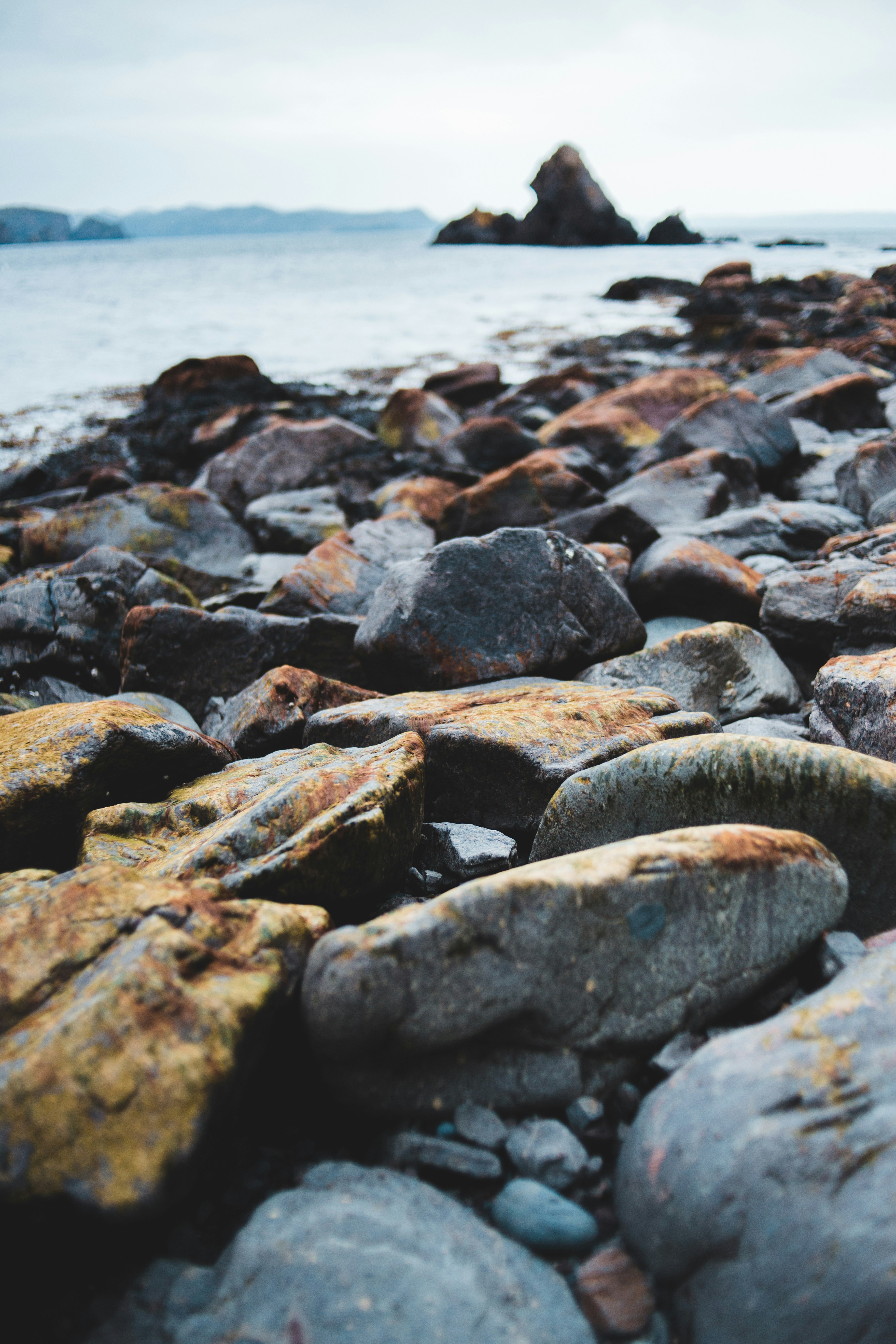 Photo by introspectivedsgn