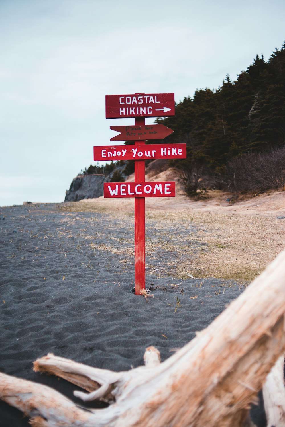 red and white wooden signage on beach during daytime