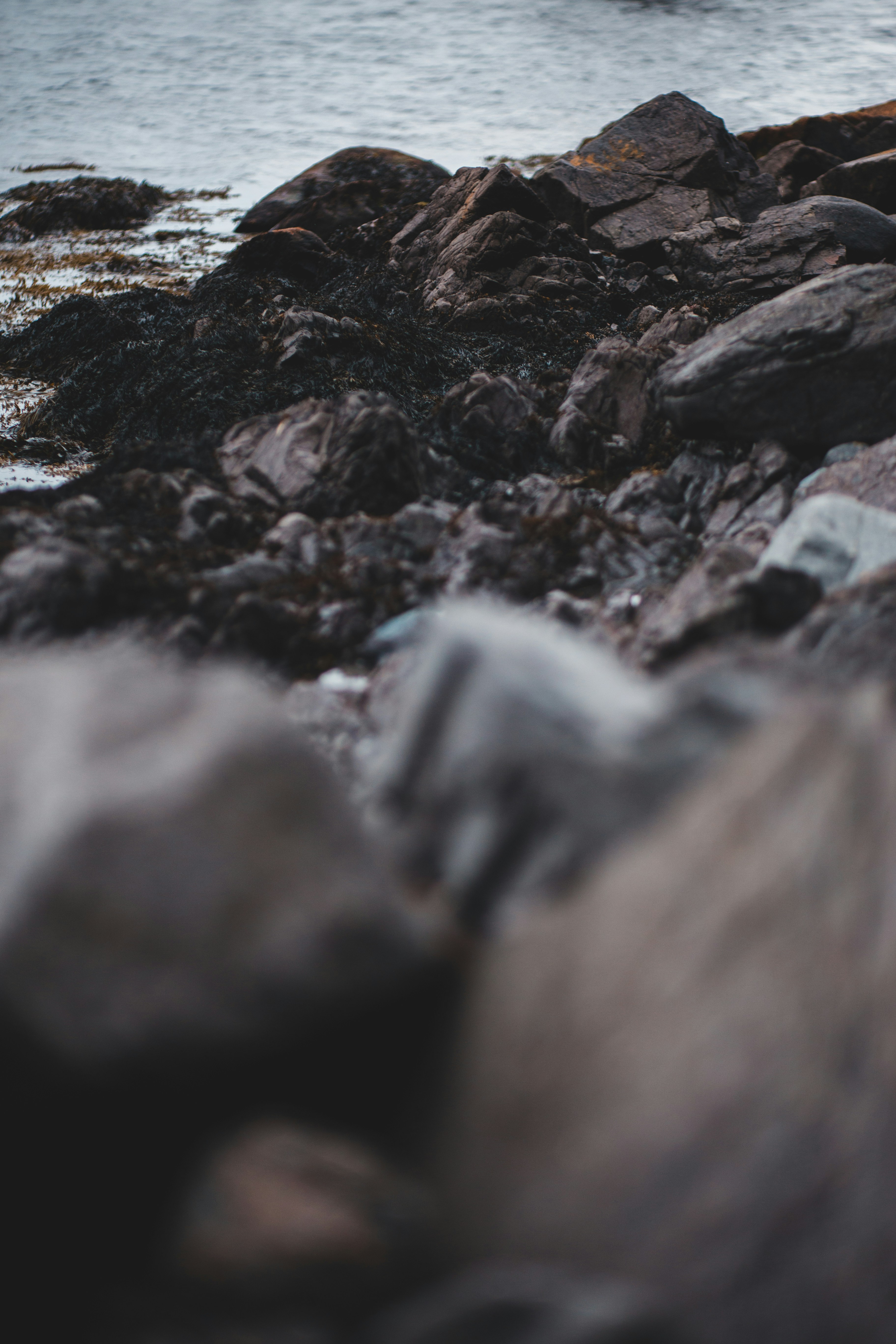 Photo by introspectivedsgn