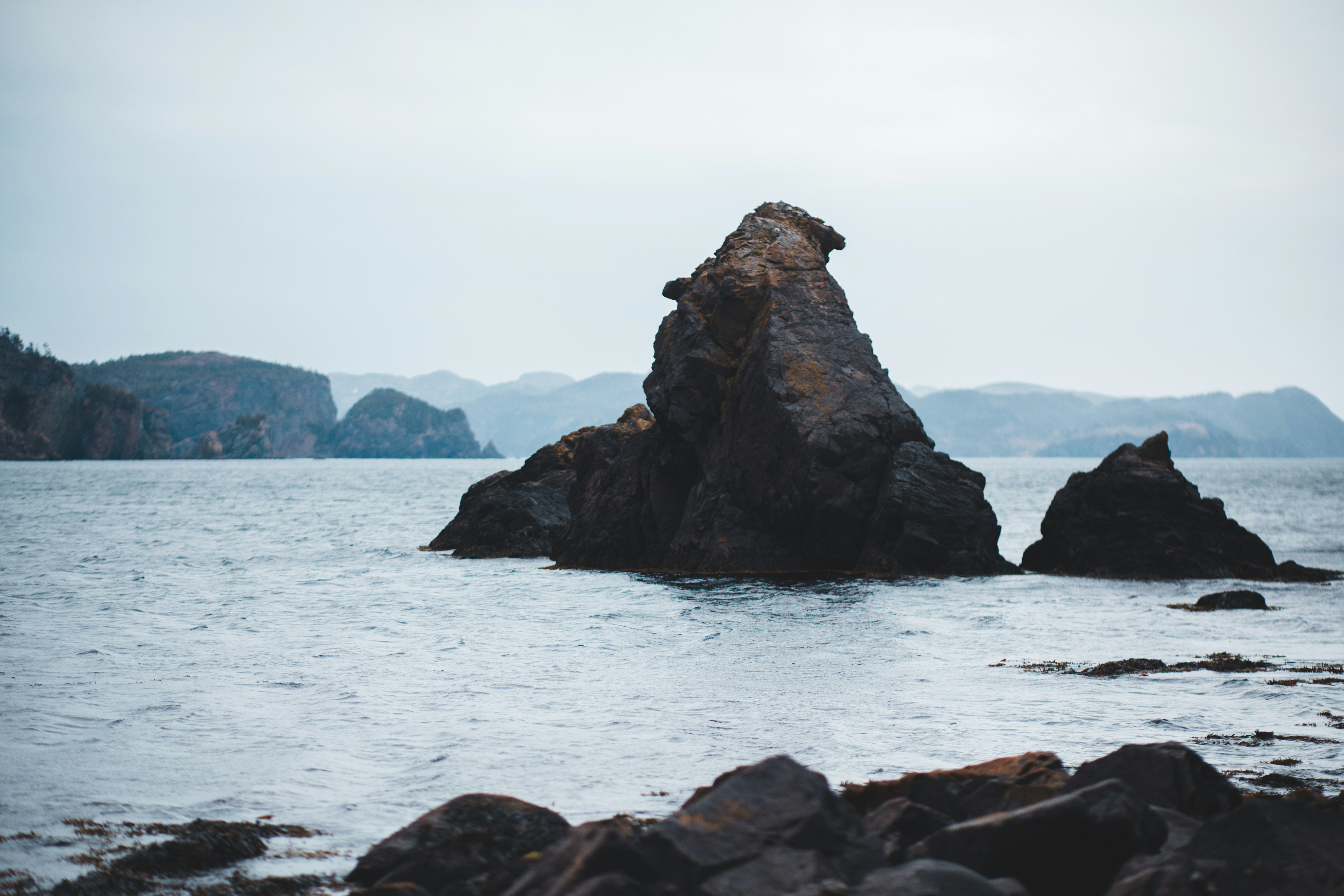 Photo by introspectivedsgn