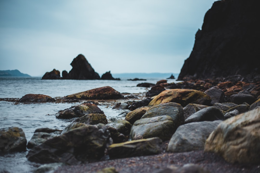 brown and black rocks on sea shore during daytime