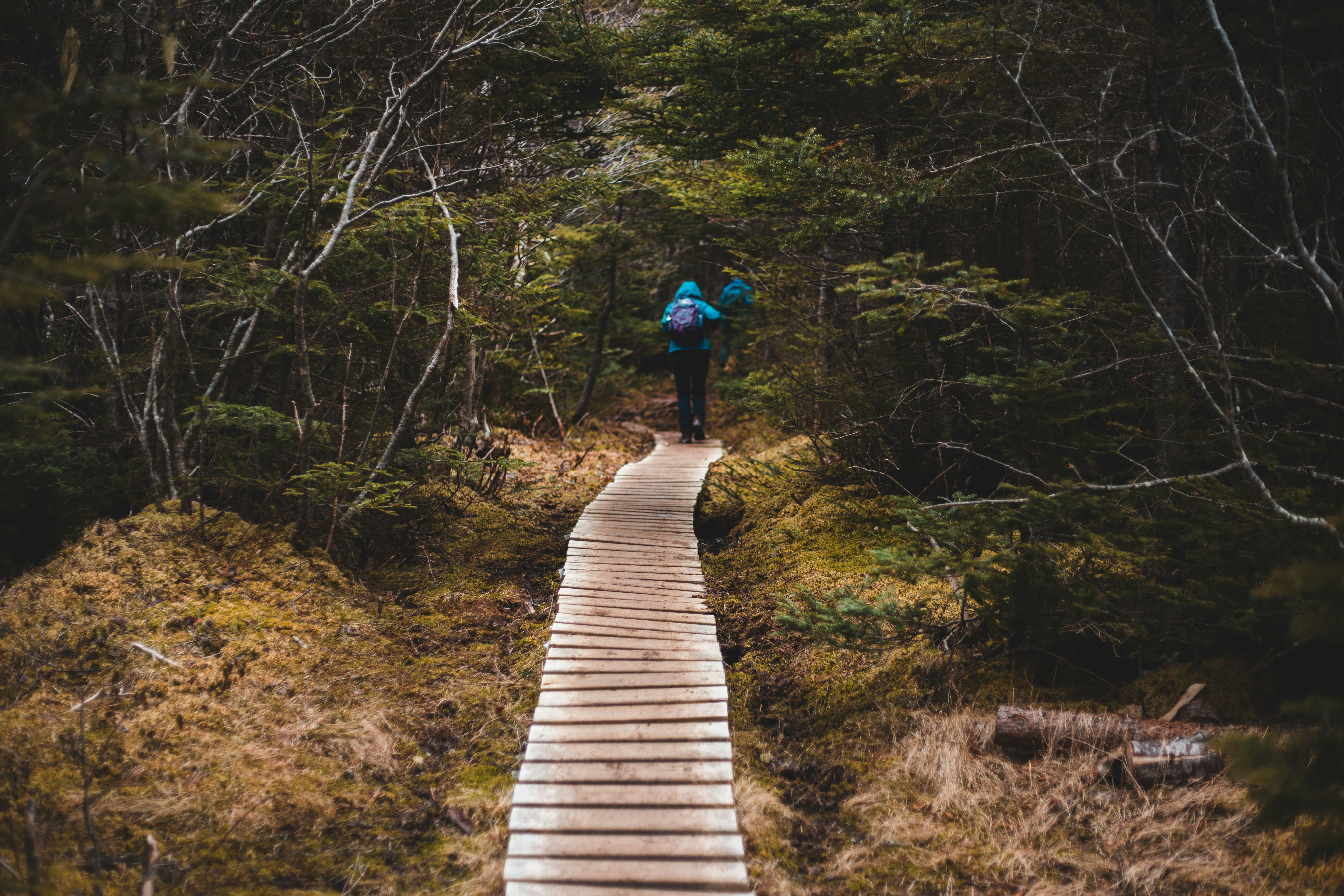 Photo by introspectivedsgn