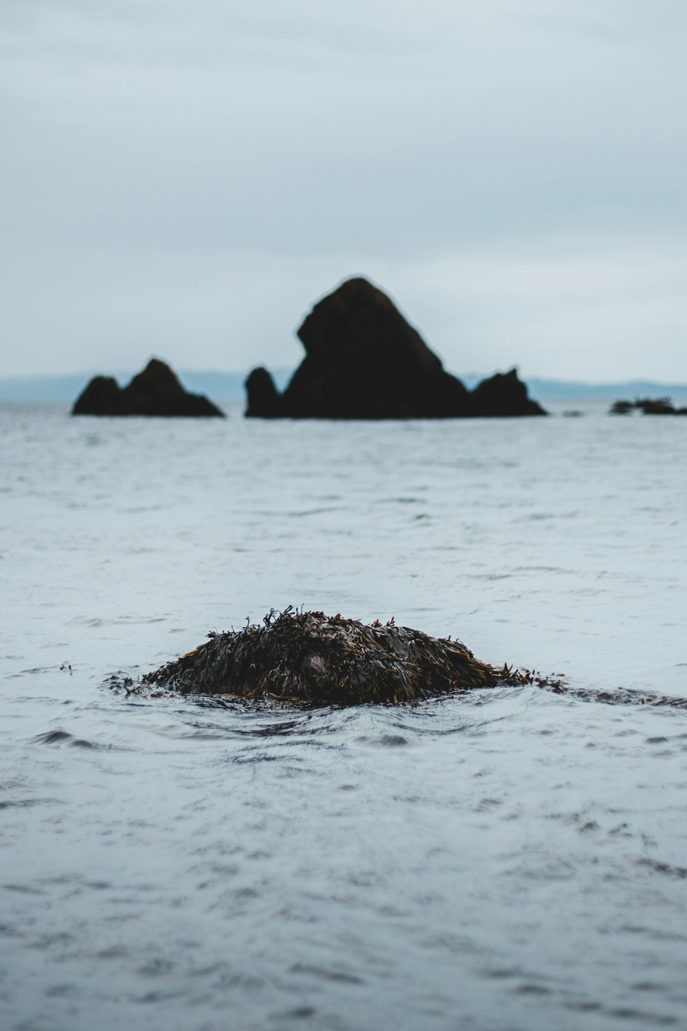 brown rock on body of water during daytime