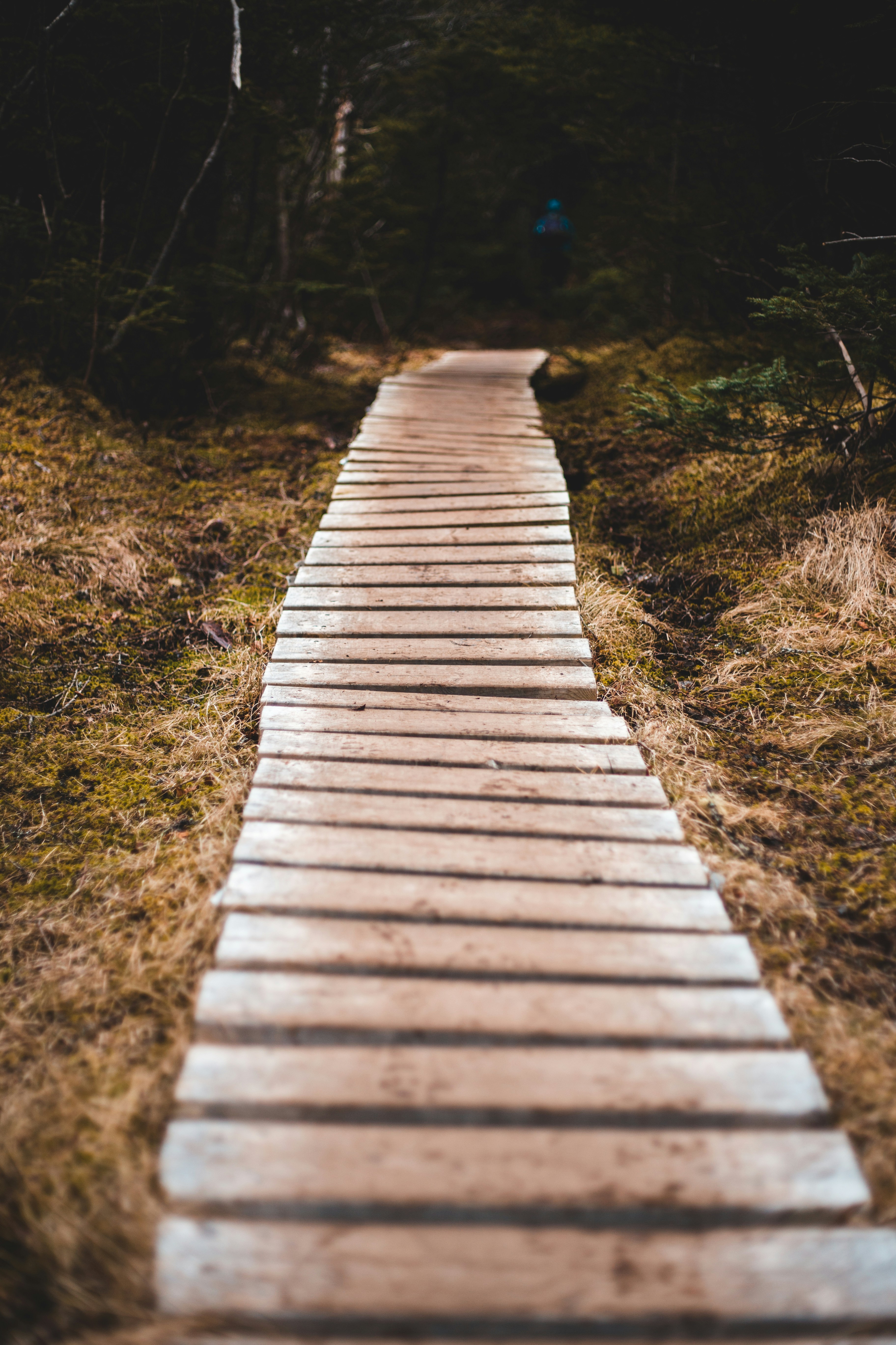 Photo by introspectivedsgn