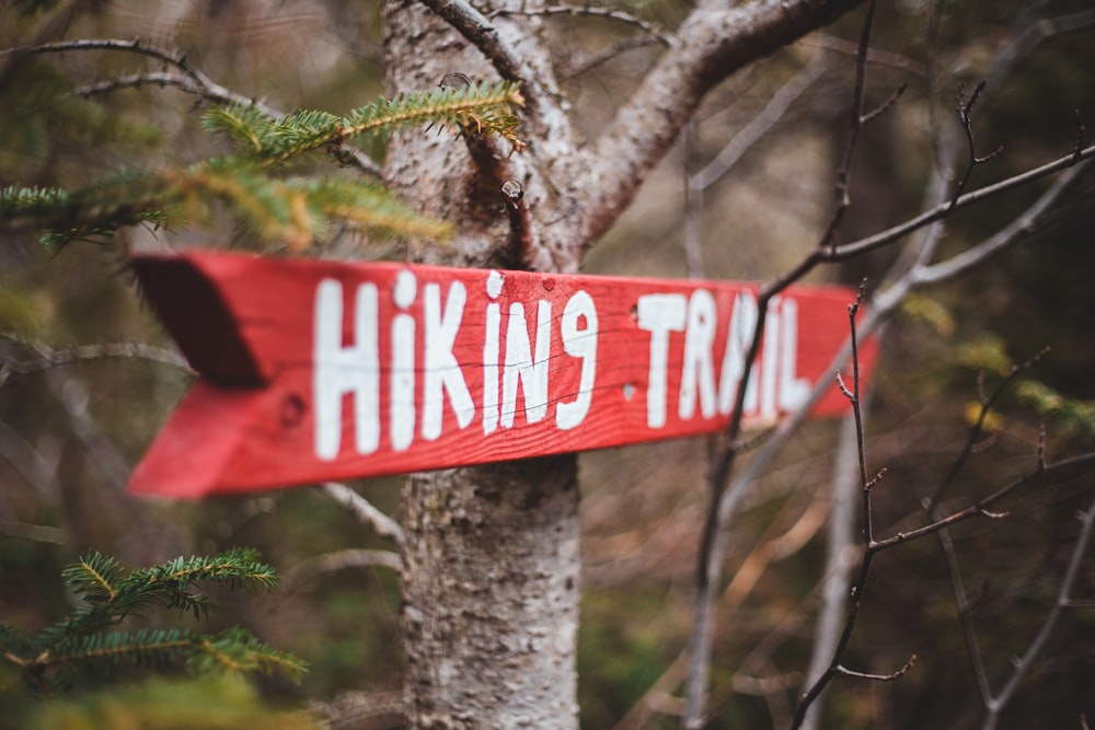a red sign that says hiking trail hanging from a tree