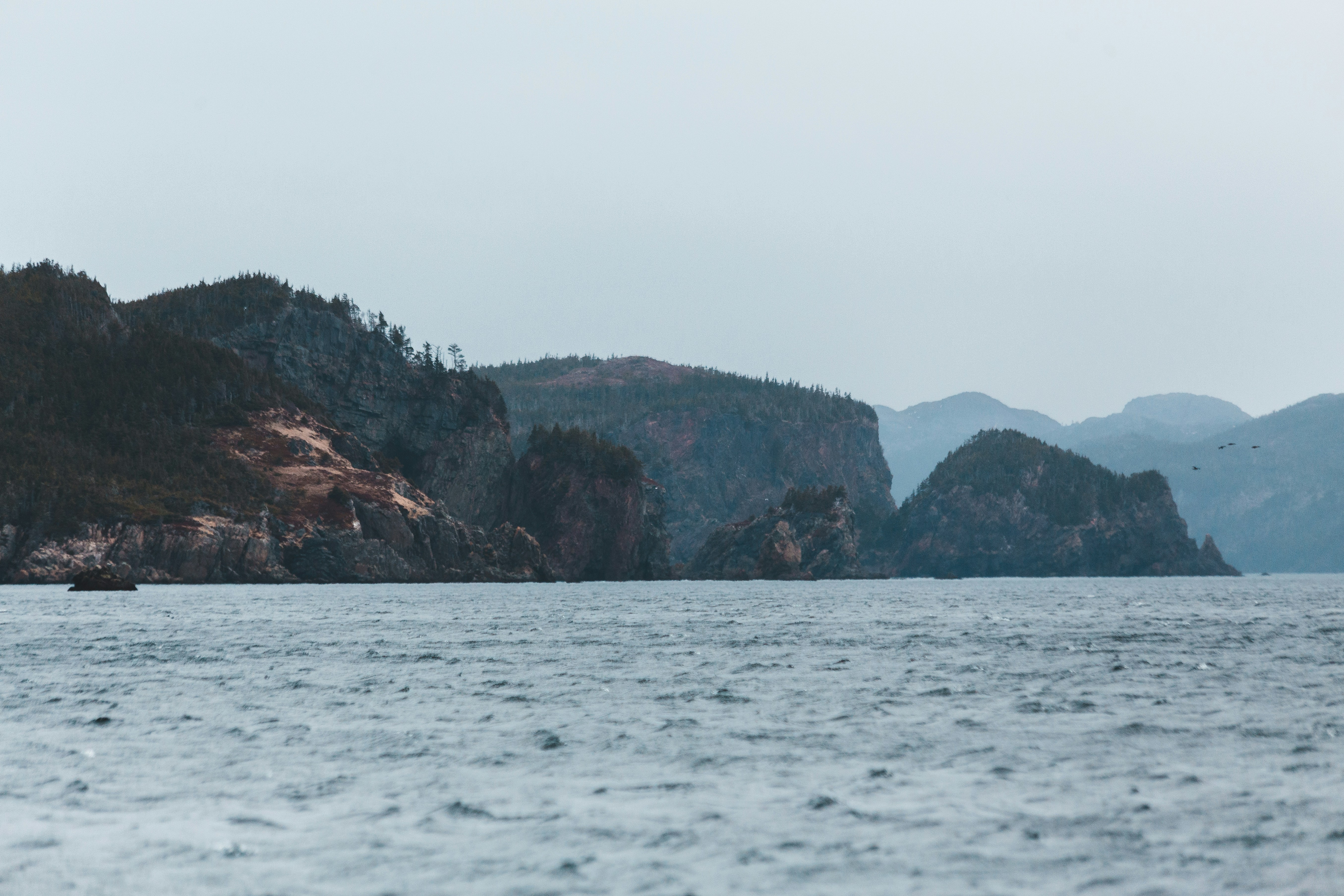 Photo by introspectivedsgn