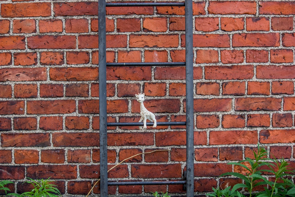 white cat on brown brick wall