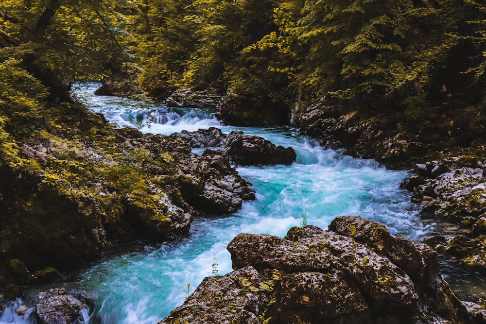 water falls between green trees during daytime