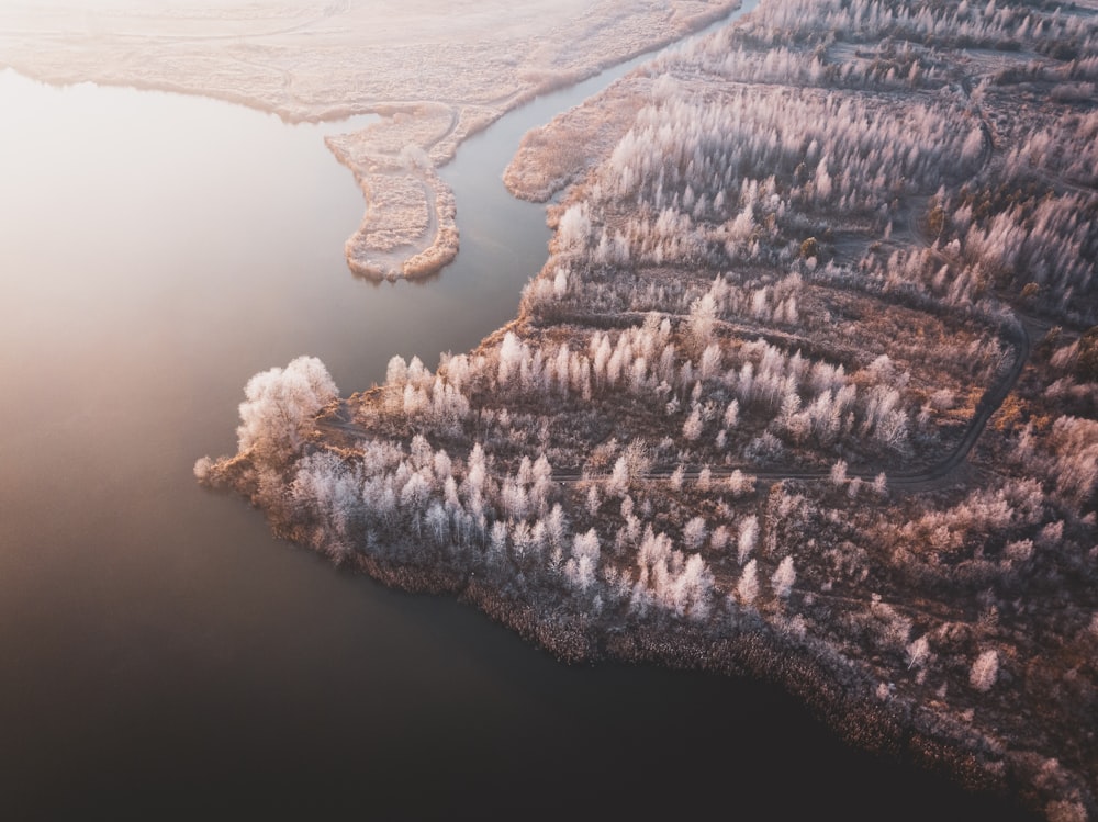 aerial view of snow covered mountain