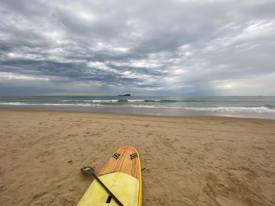 Mudjimba Beach things to do in Glass House Mountains QLD