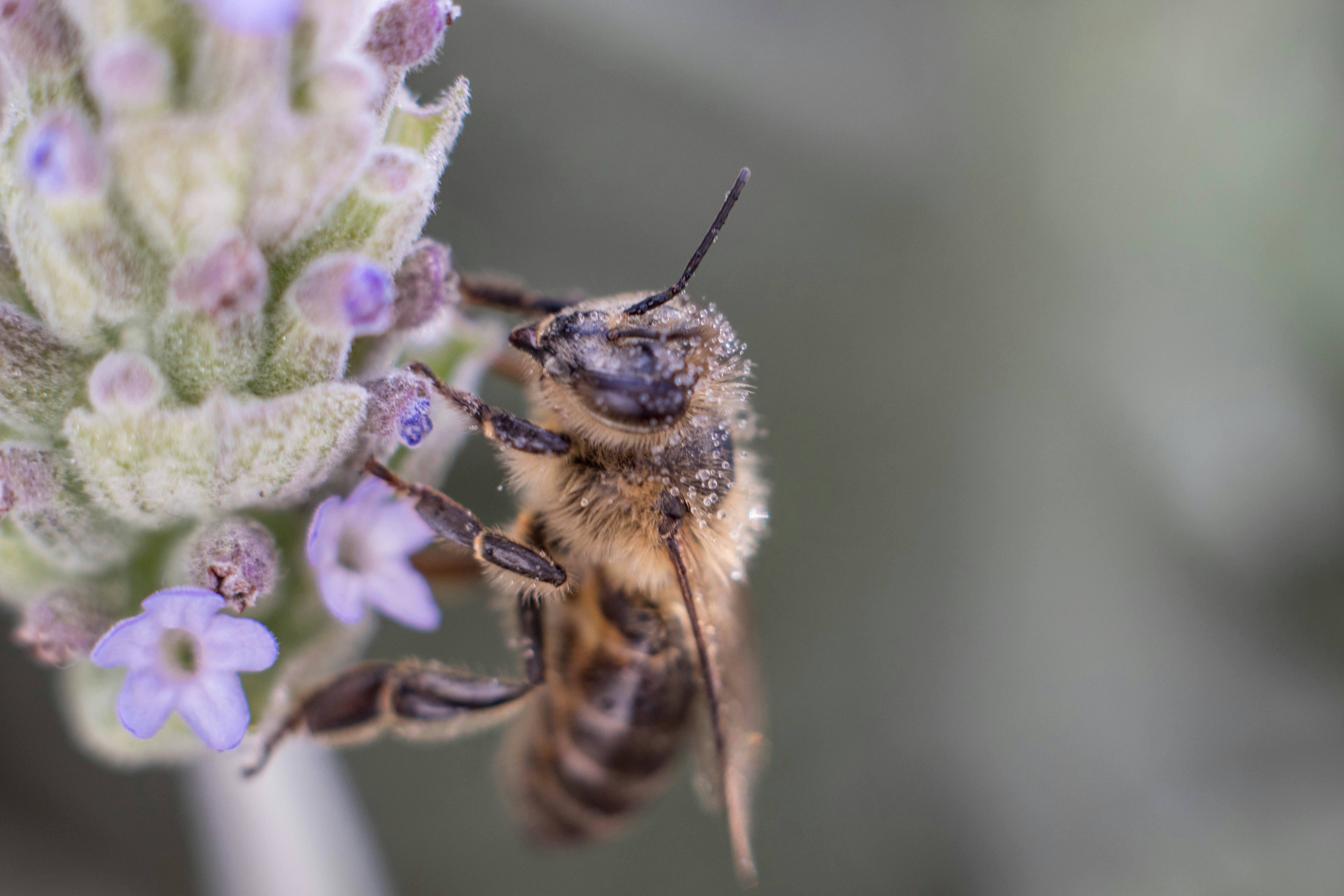 Photo by sonianadales