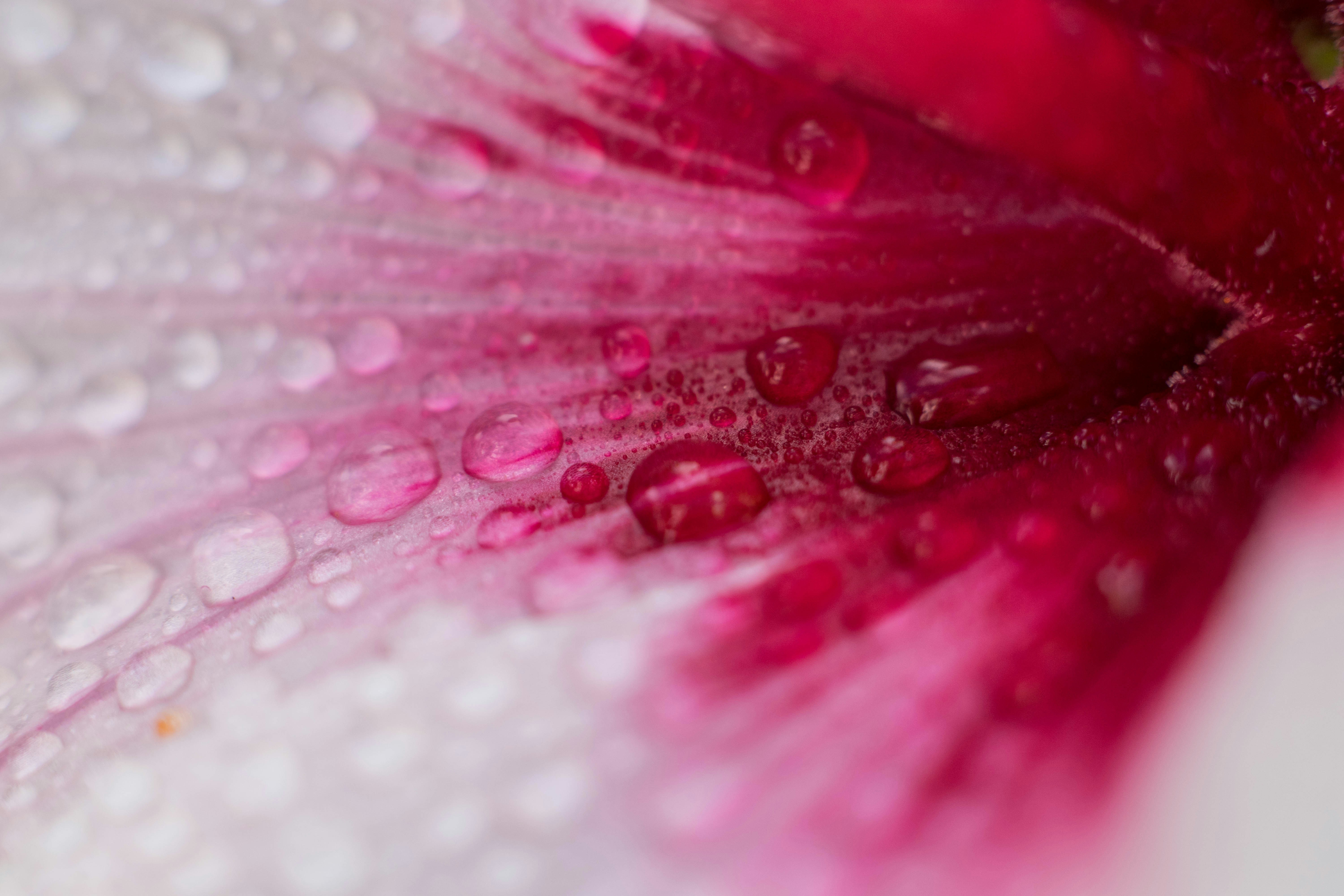 Photo by sonianadales