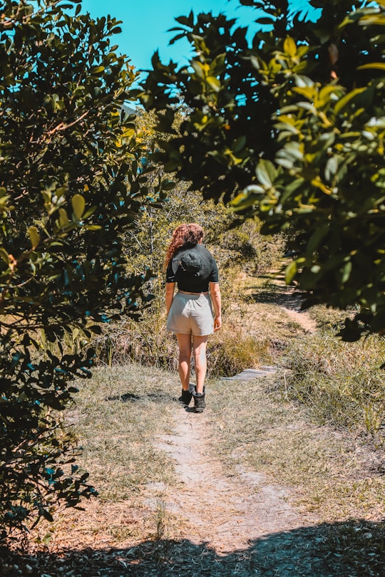 woman in black t-shirt walking on dirt pathway between green plants during daytime in Florianópolis Brasil