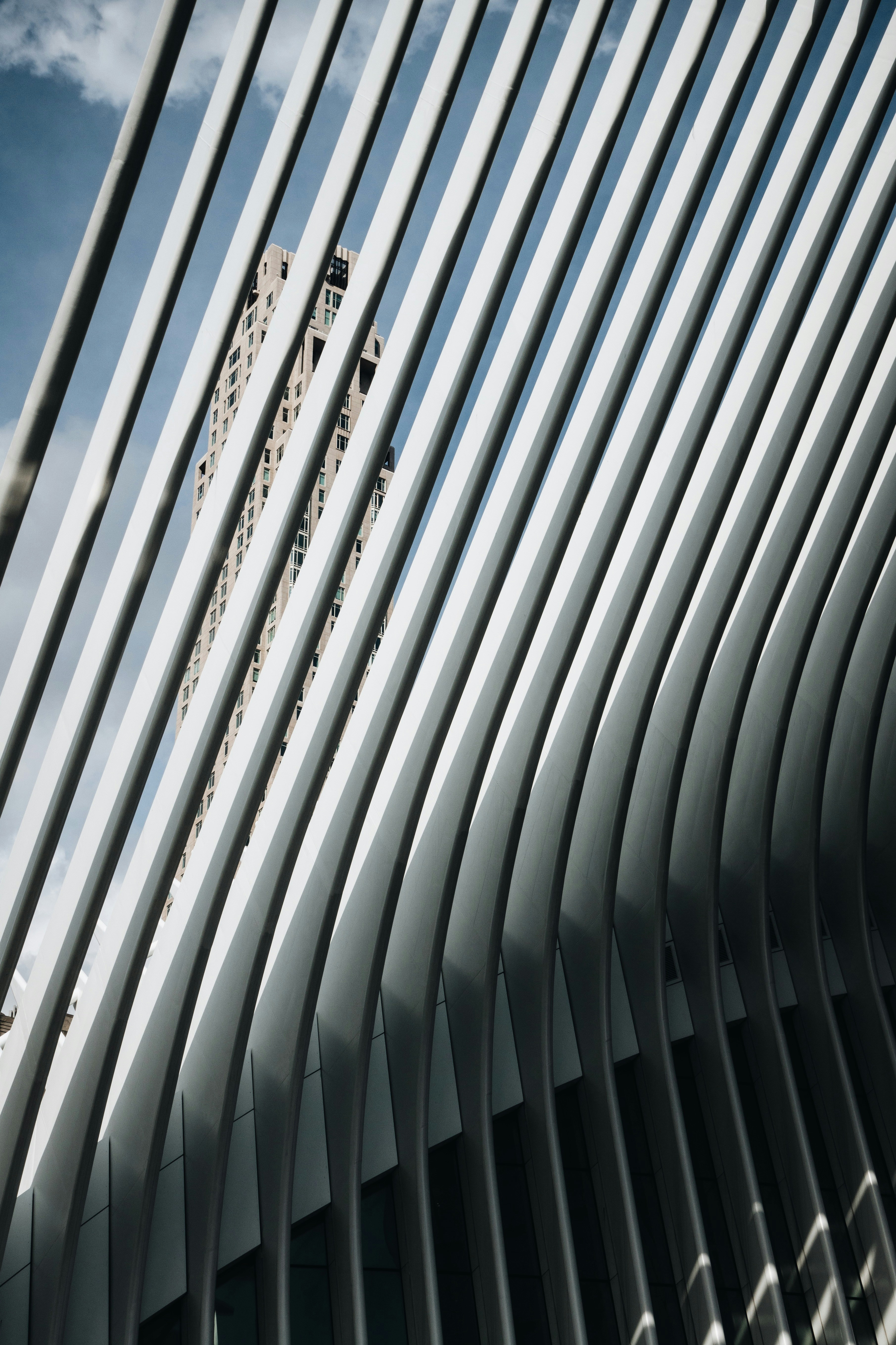 Photo by christianrosi