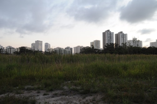 A landscape with a foreground of green grass and a backdrop of high-rise buildings under a cloudy sky.