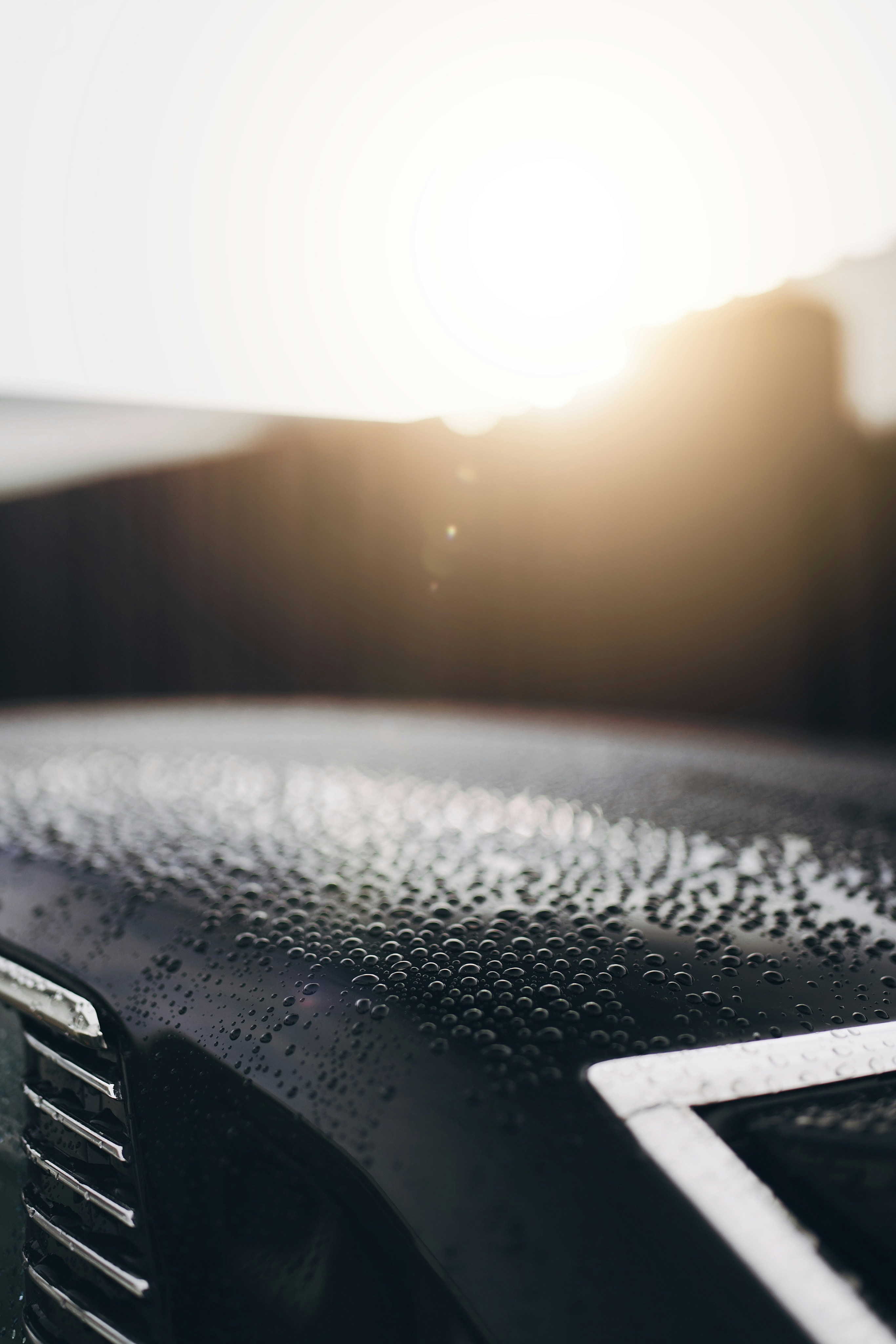 water beading on car