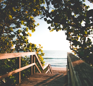 brown wooden dock near body of water during daytime