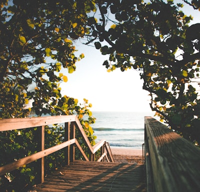 brown wooden dock near body of water during daytime