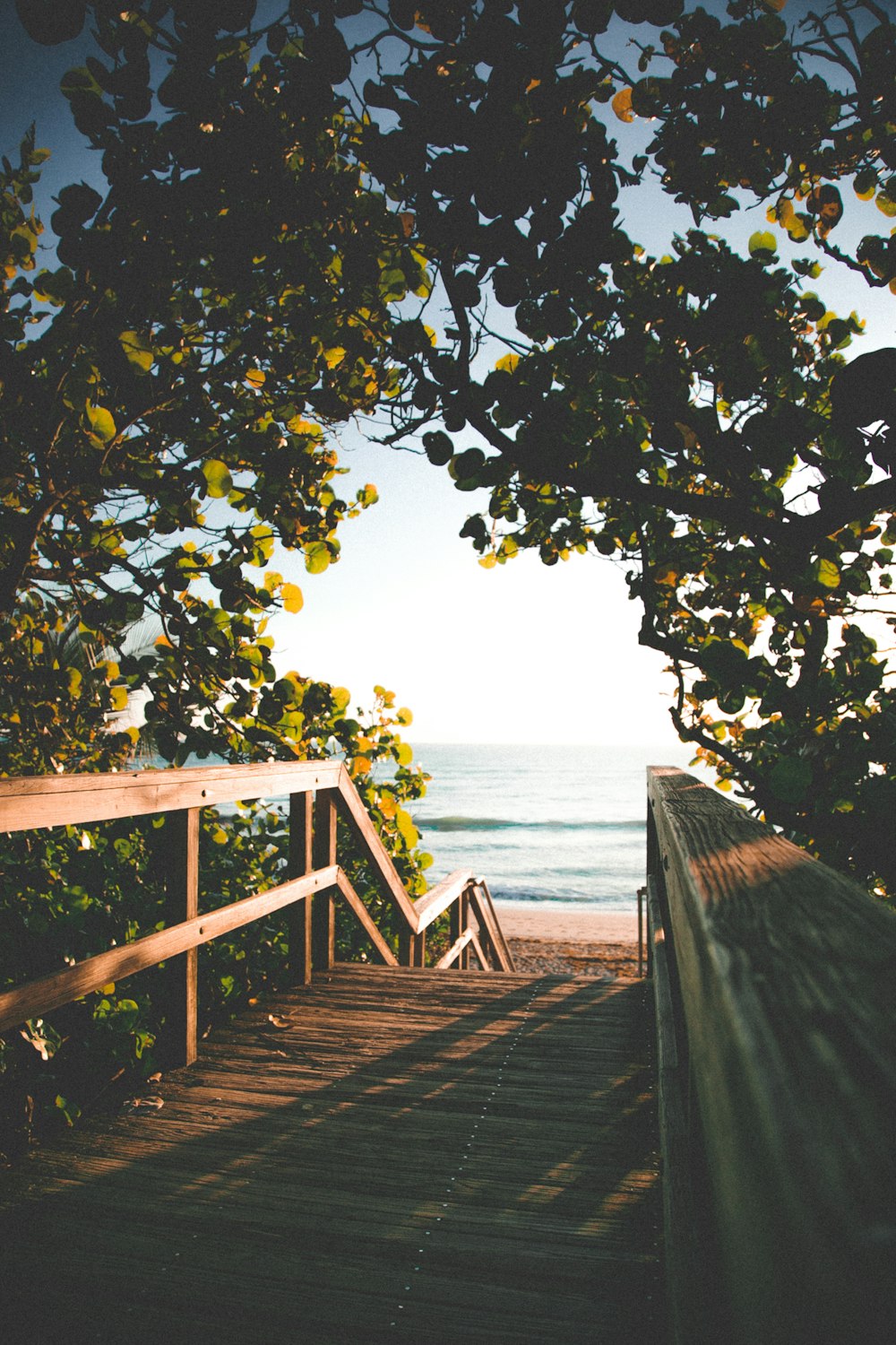 brown wooden dock near body of water during daytime