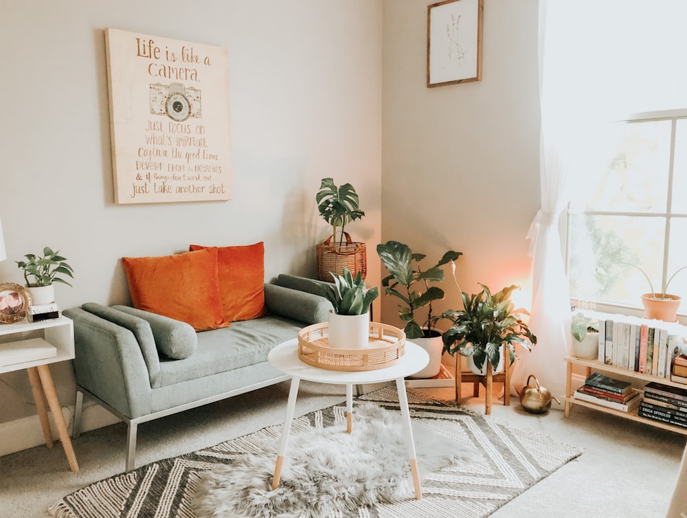 green potted plant on white round table