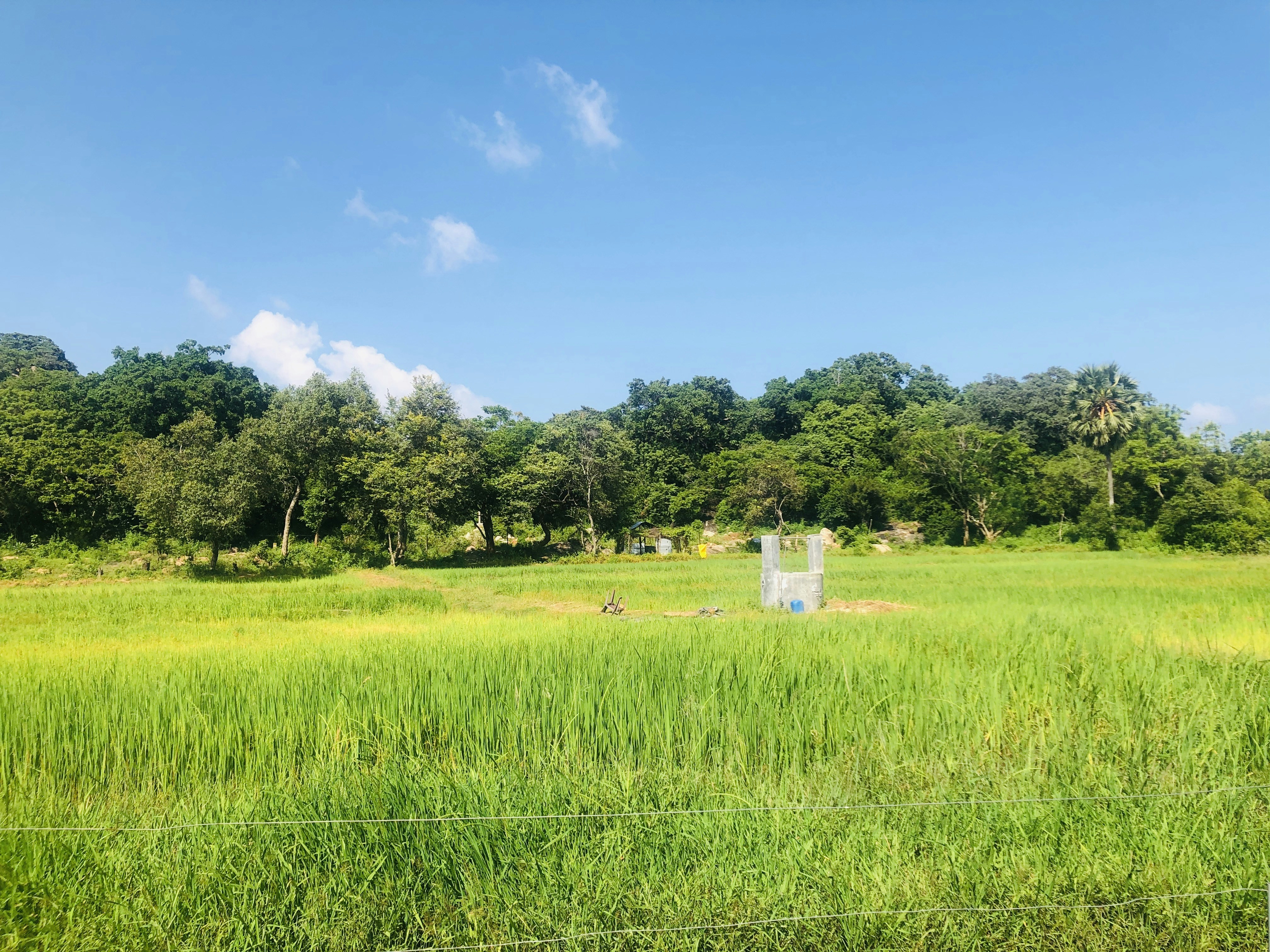 Photo by ravisilva89