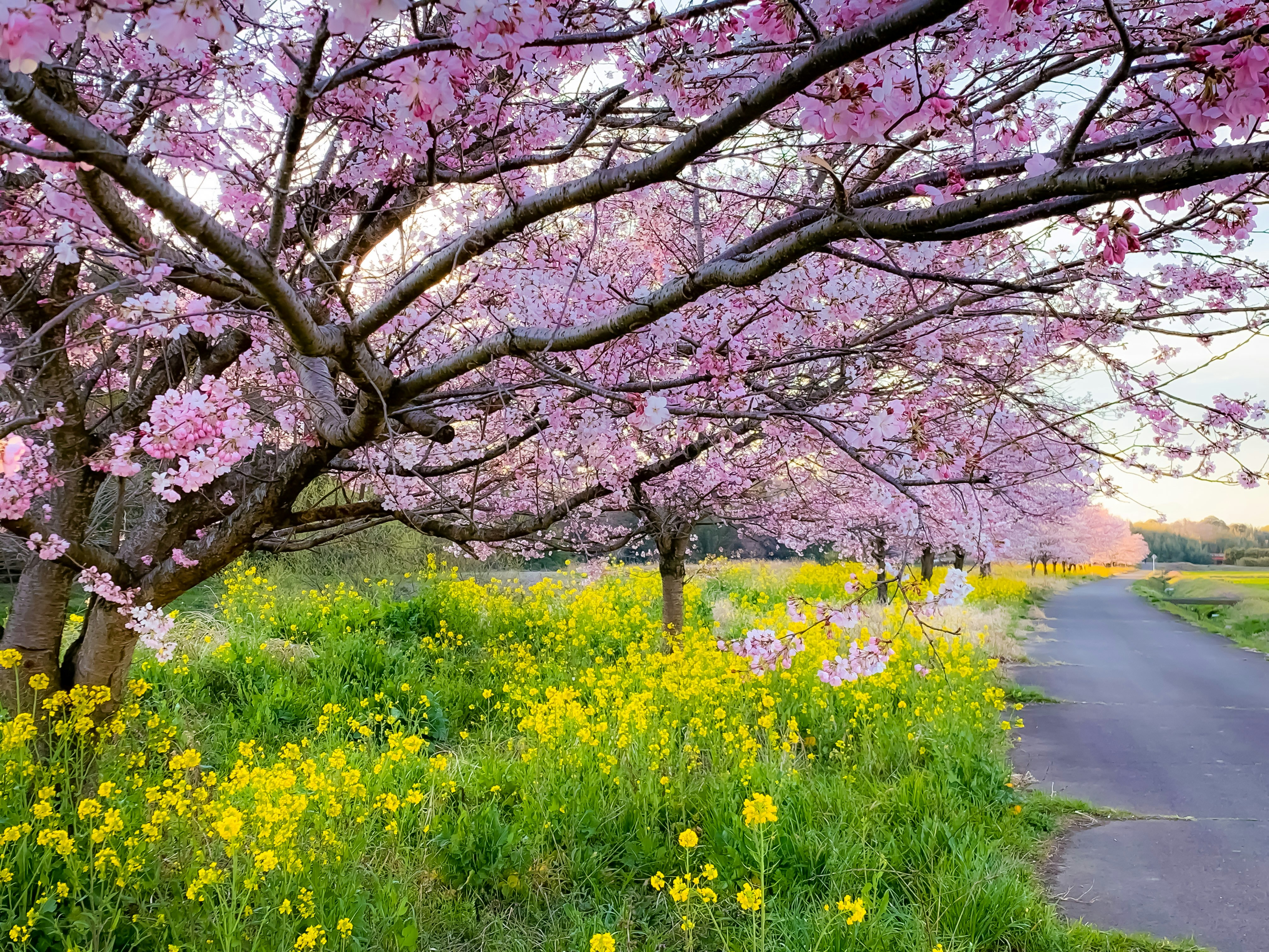 Photo by marvindee33