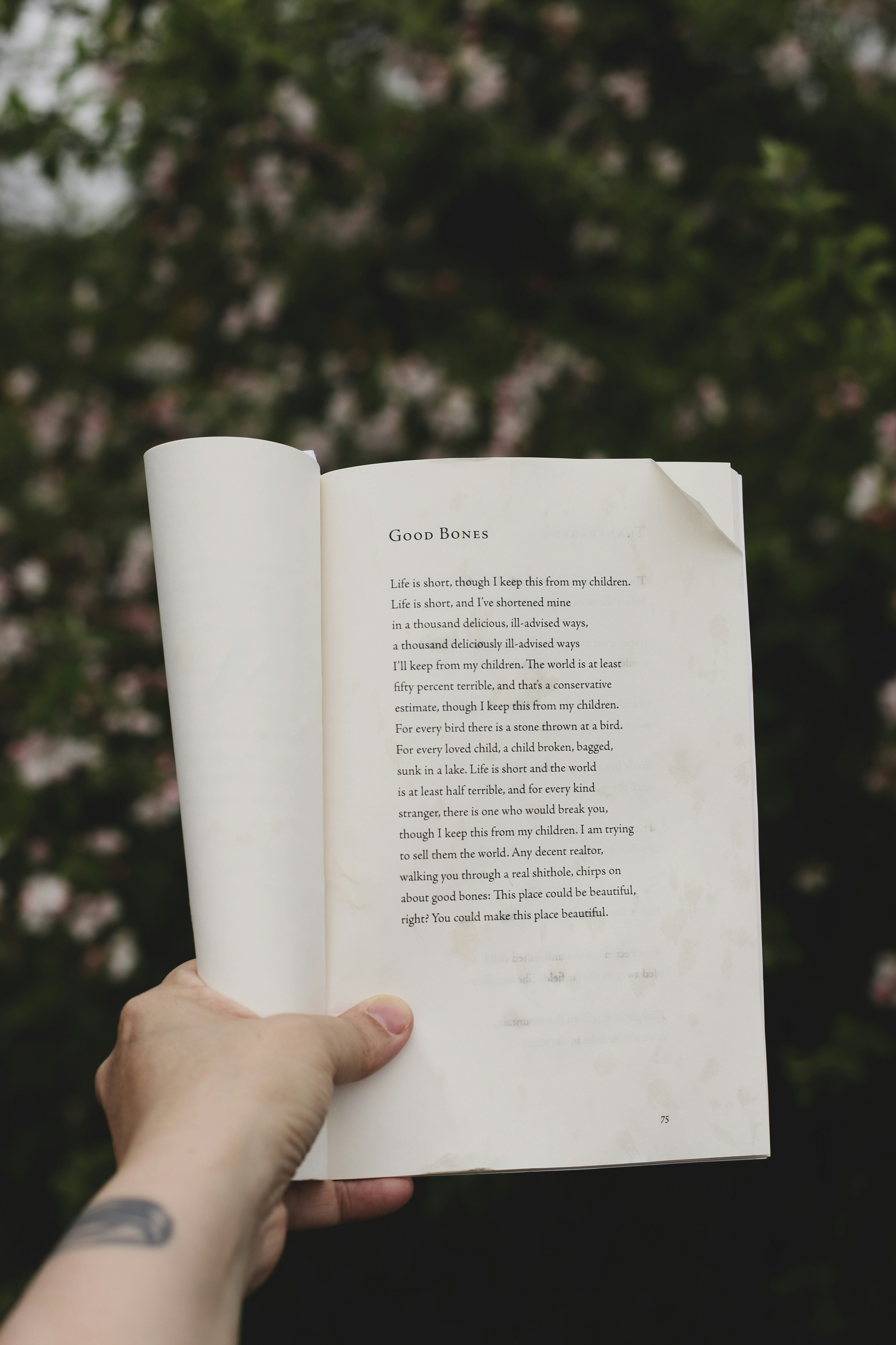 Photo by dearseymour