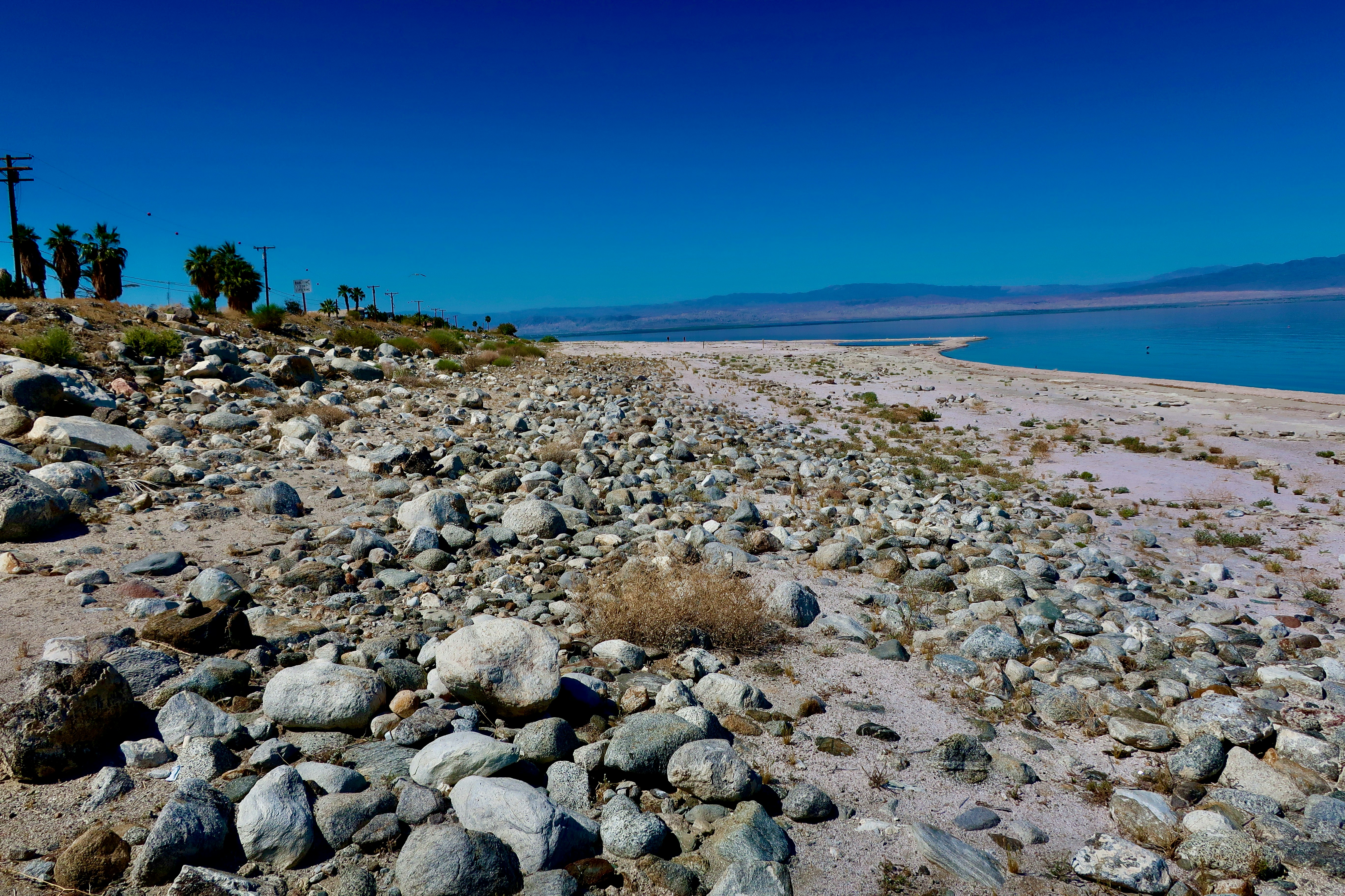 Photo by palmspringsdon