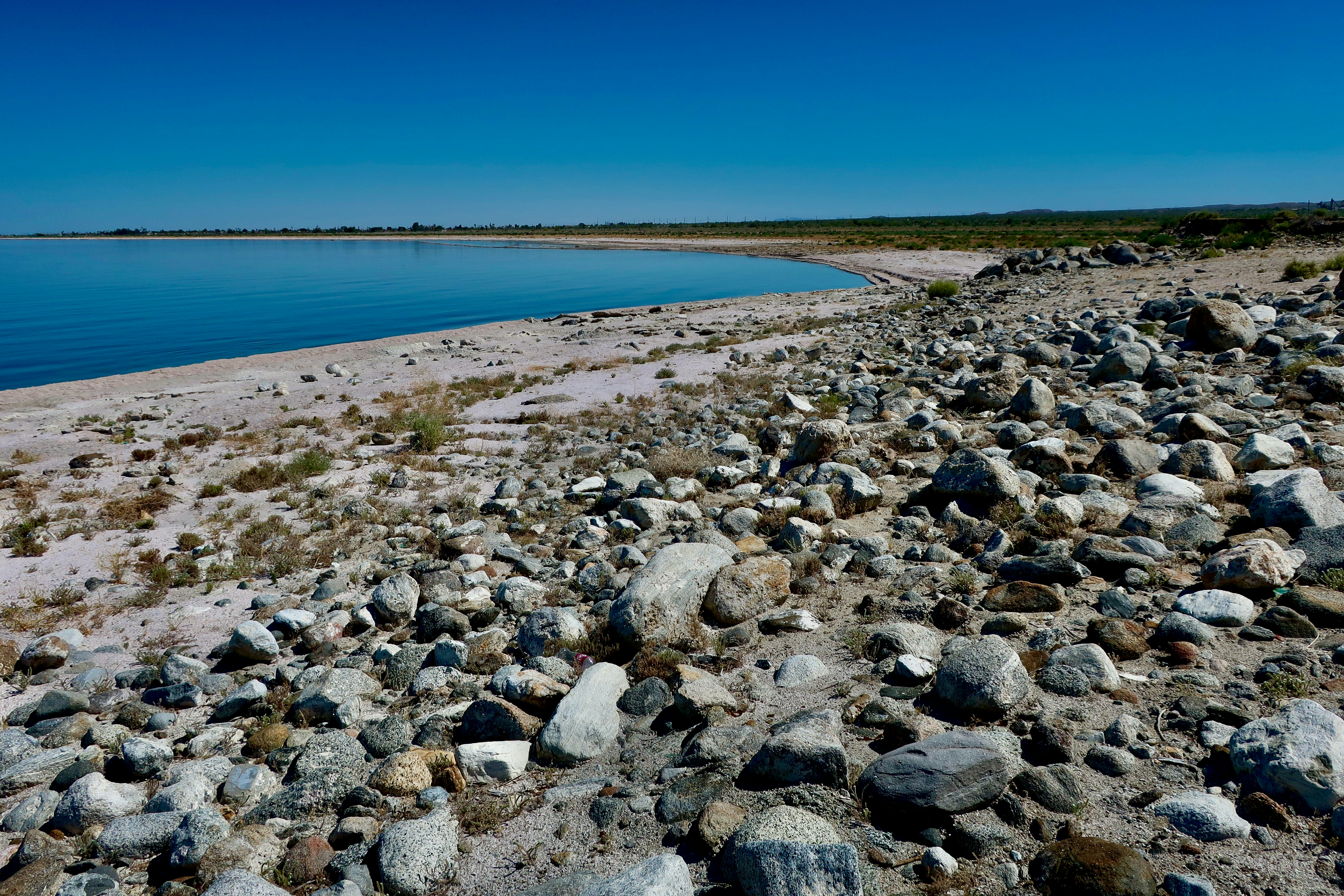 Photo by palmspringsdon