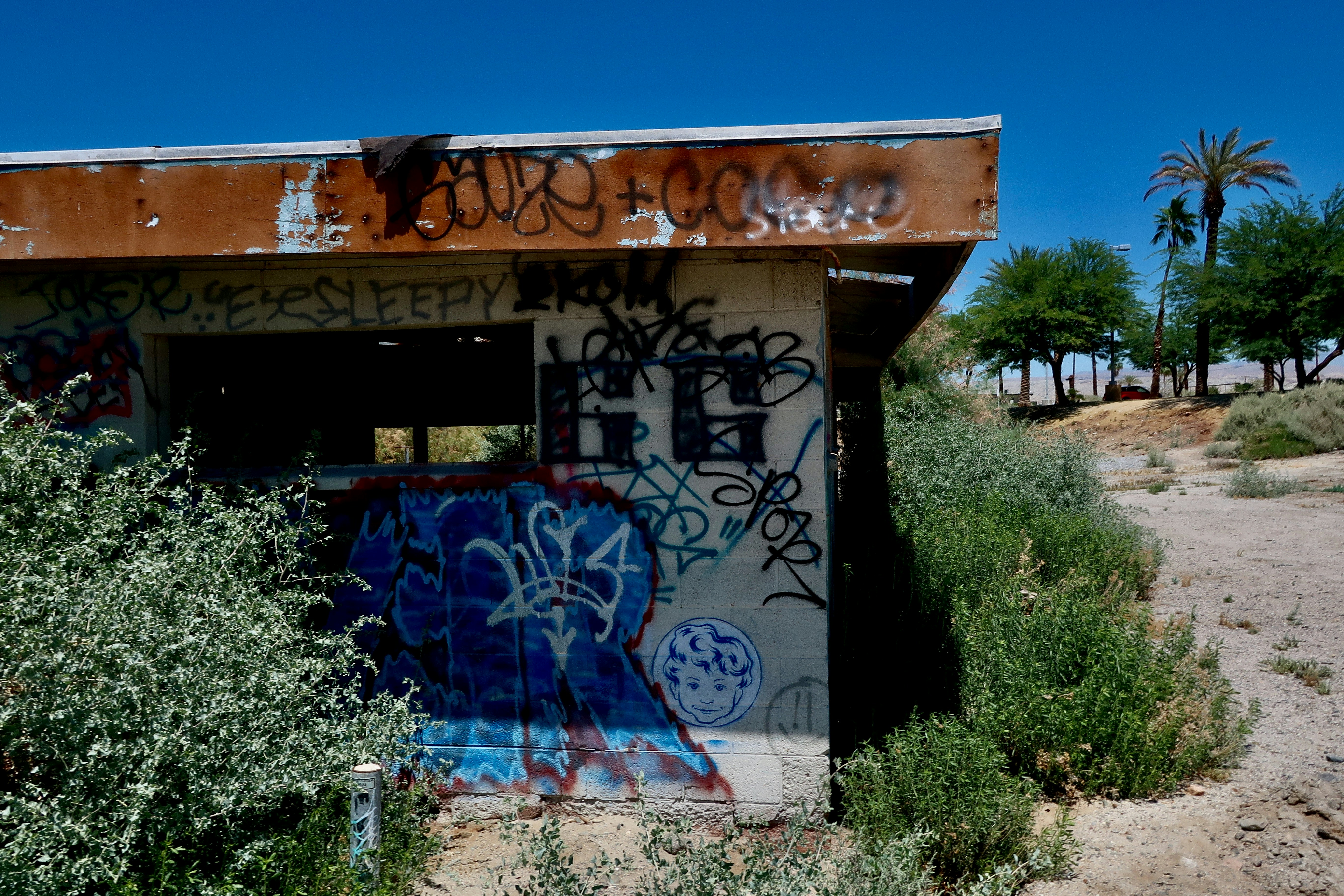 Photo by palmspringsdon