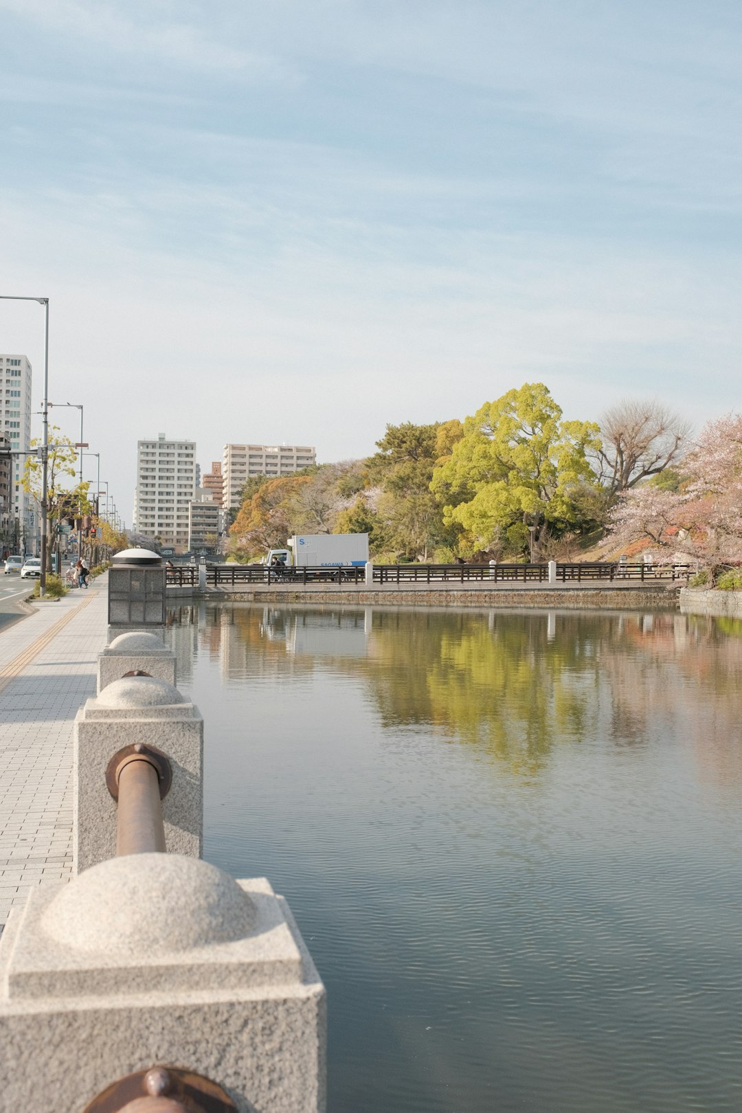 body of water near trees and buildings during daytime