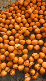 Close-up of spicy, tangy chana jor garam with visible seasoning.