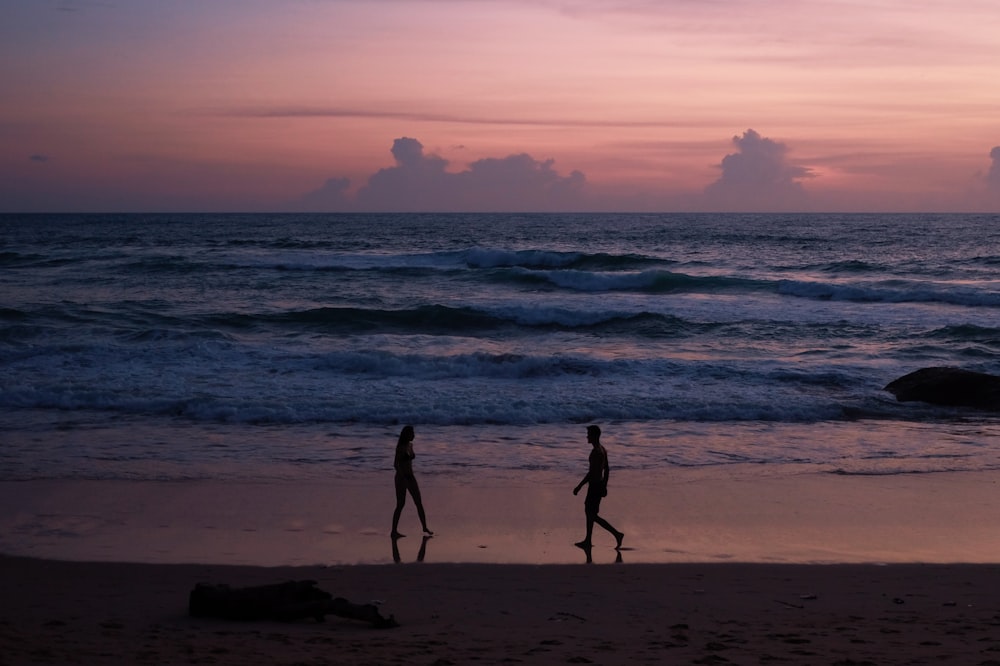 silhouette of 2 people standing on beach during sunset