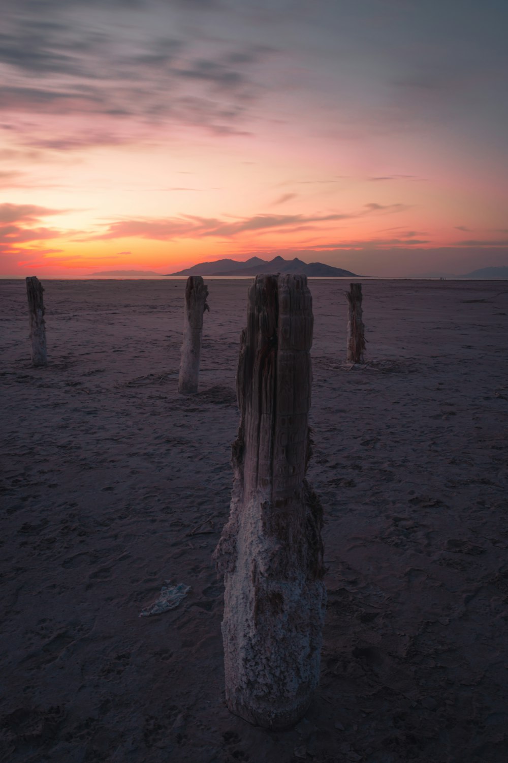 brown wood log on beach during sunset