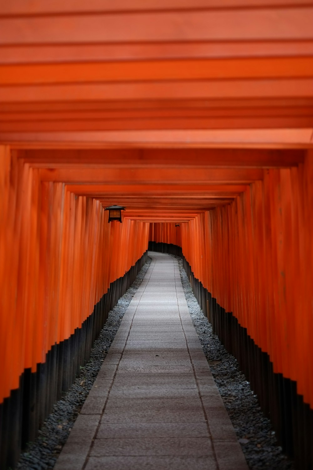 brown and black wooden hallway