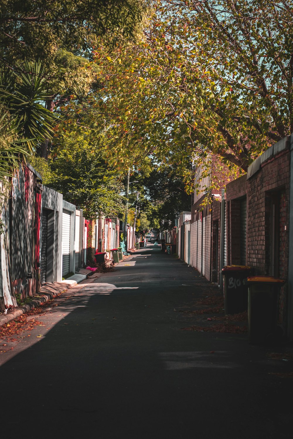 empty street with trees and houses