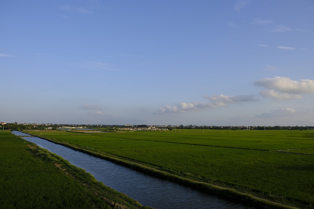 green grass field beside river under blue sky during daytime