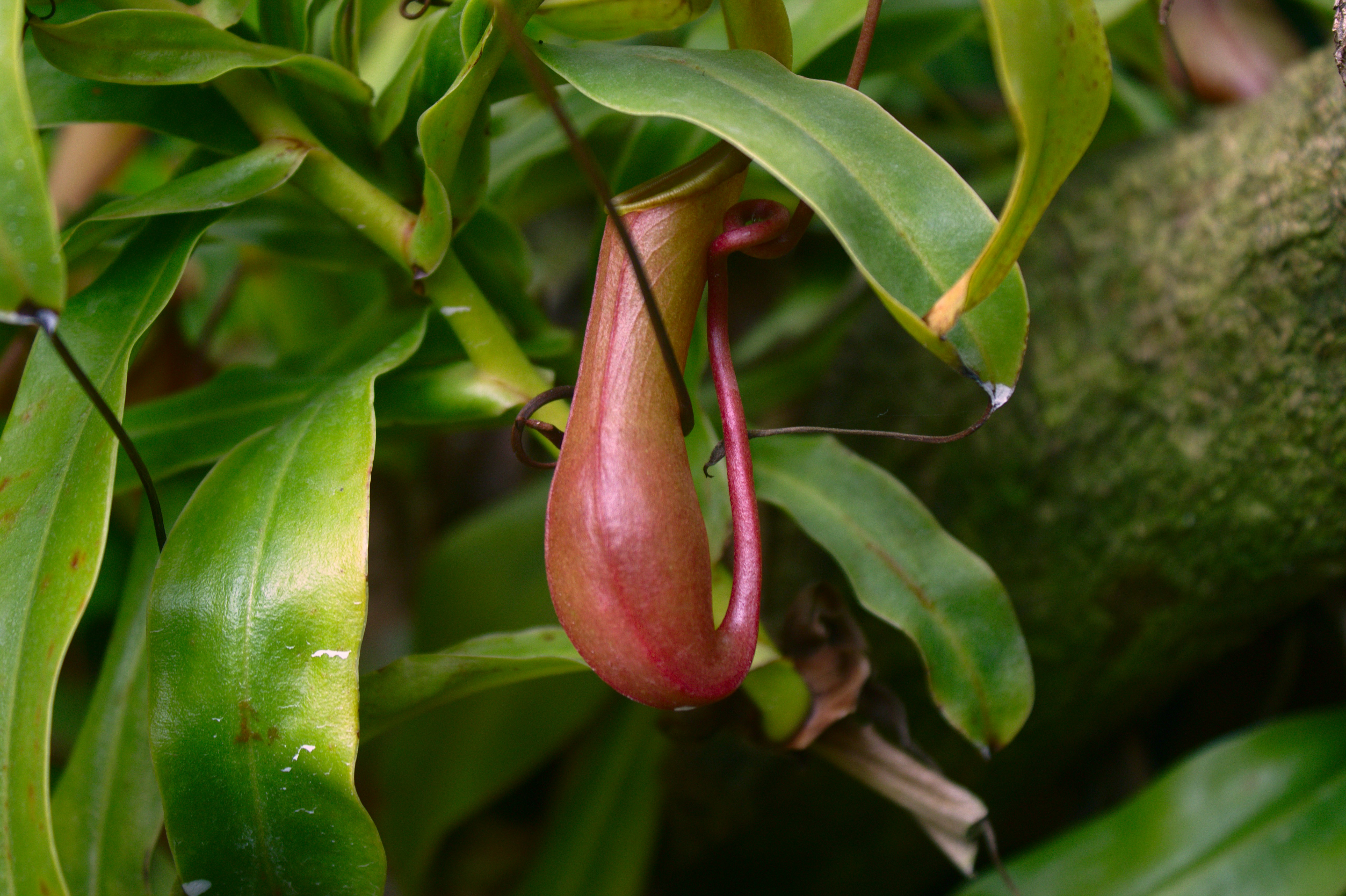 Photo by giuliogabrieli