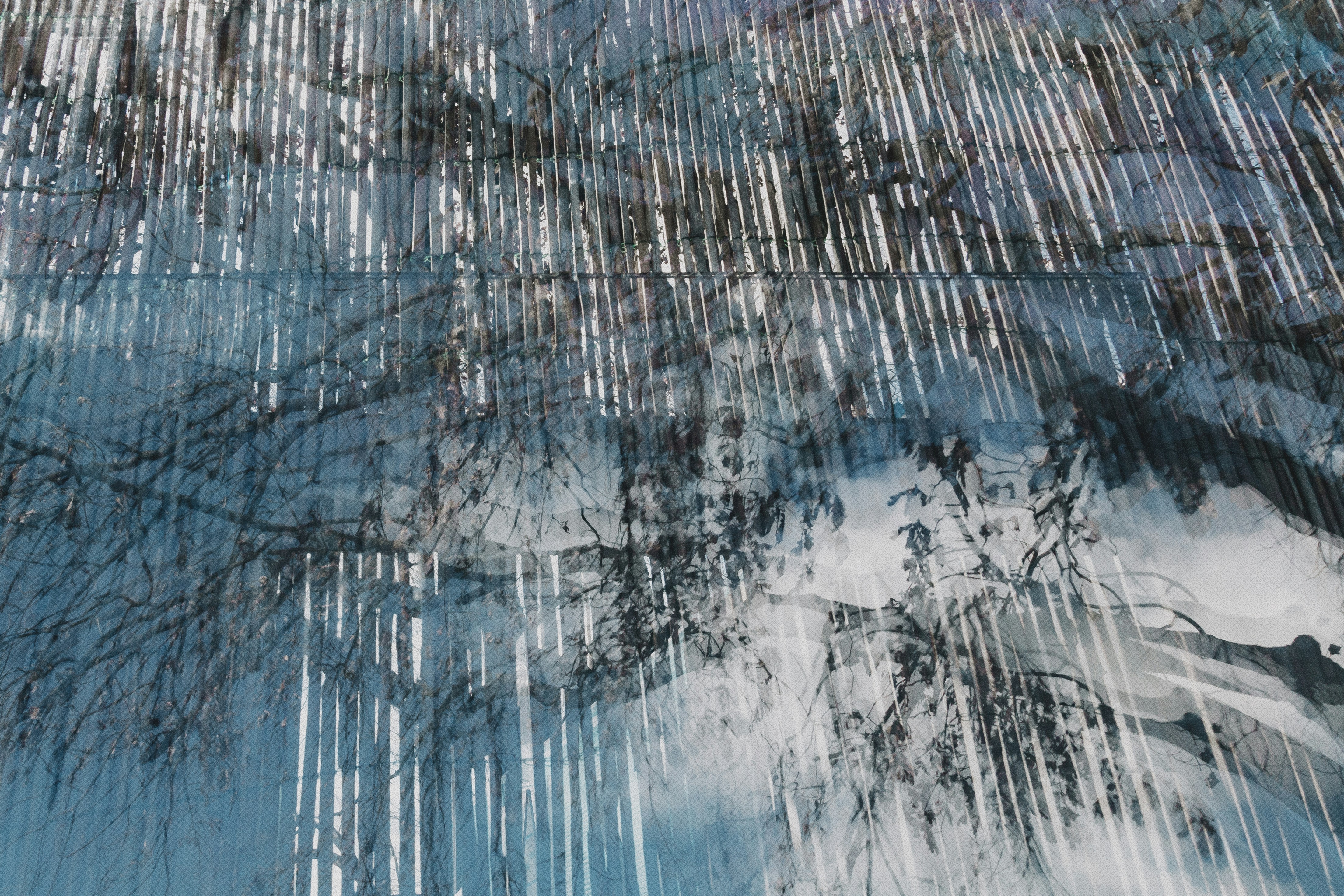 Photo by marjan_blan