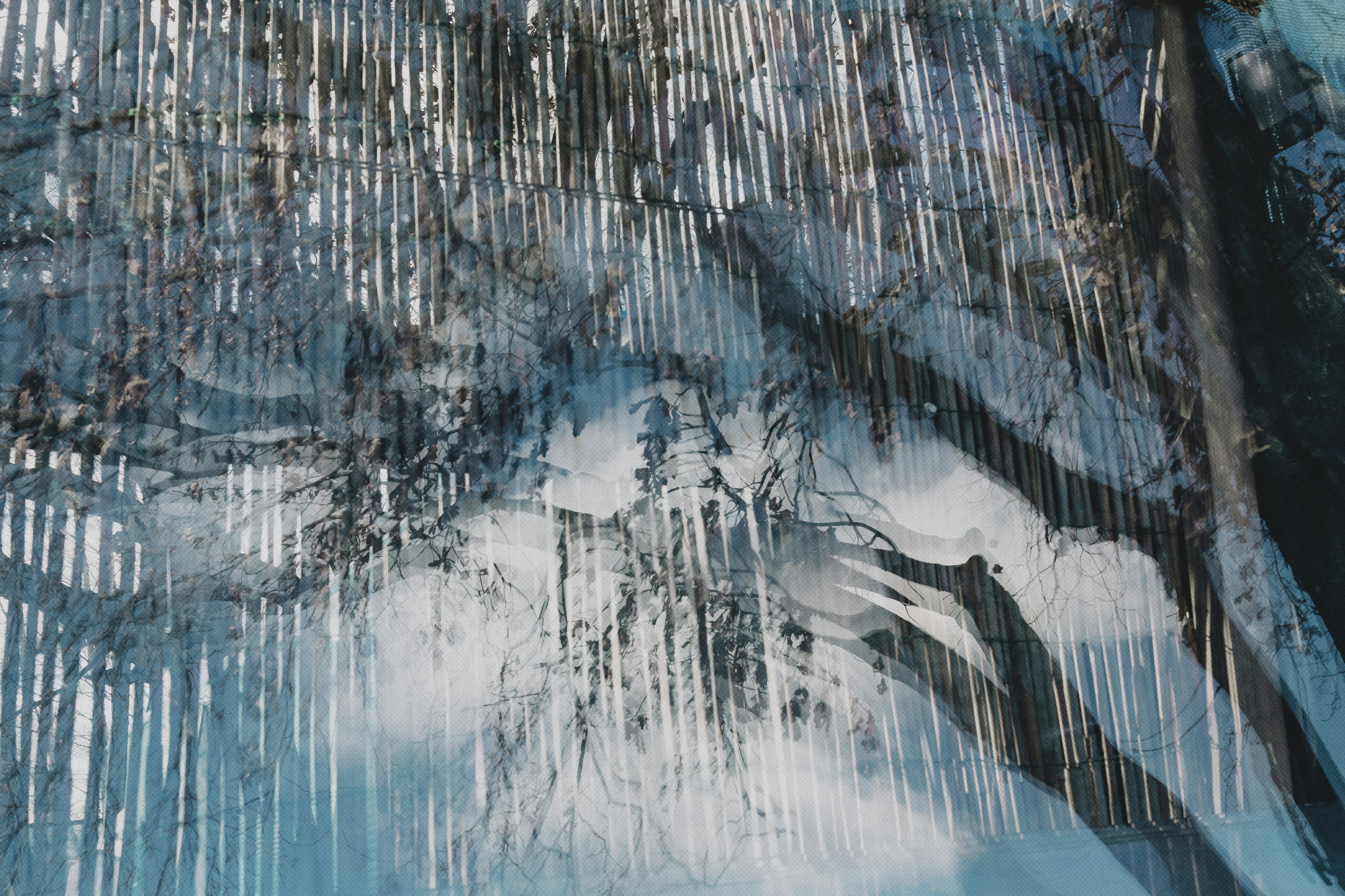 Photo by marjan_blan