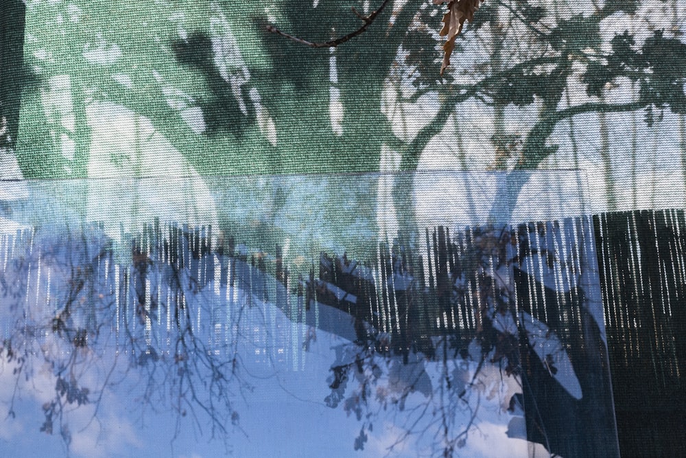 green trees near body of water