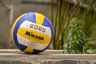 yellow and blue volleyball on brown wooden fence