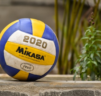 yellow and blue volleyball on brown wooden fence