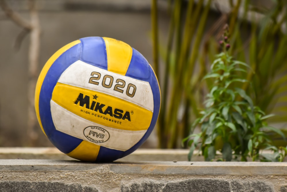 yellow and blue volleyball on brown wooden fence