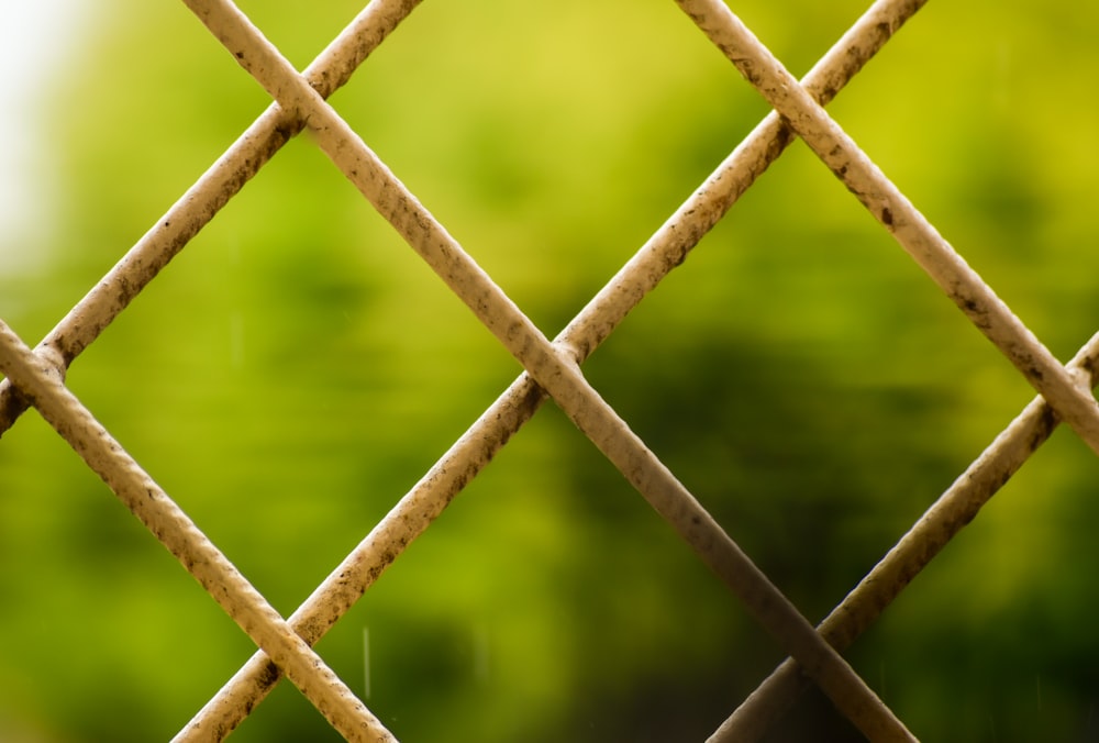 brown metal fence near green water