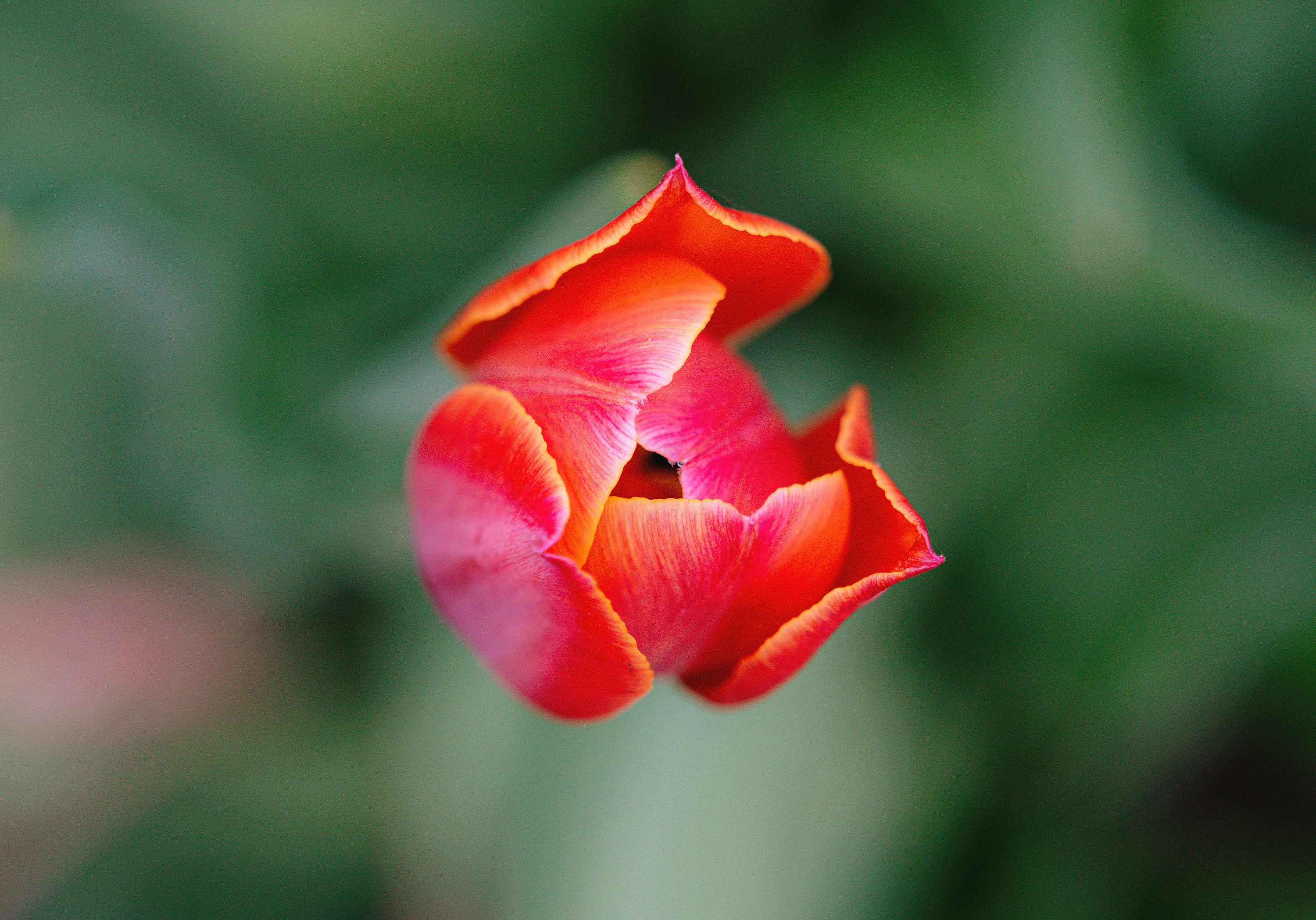 Photo by andreeazpopescu