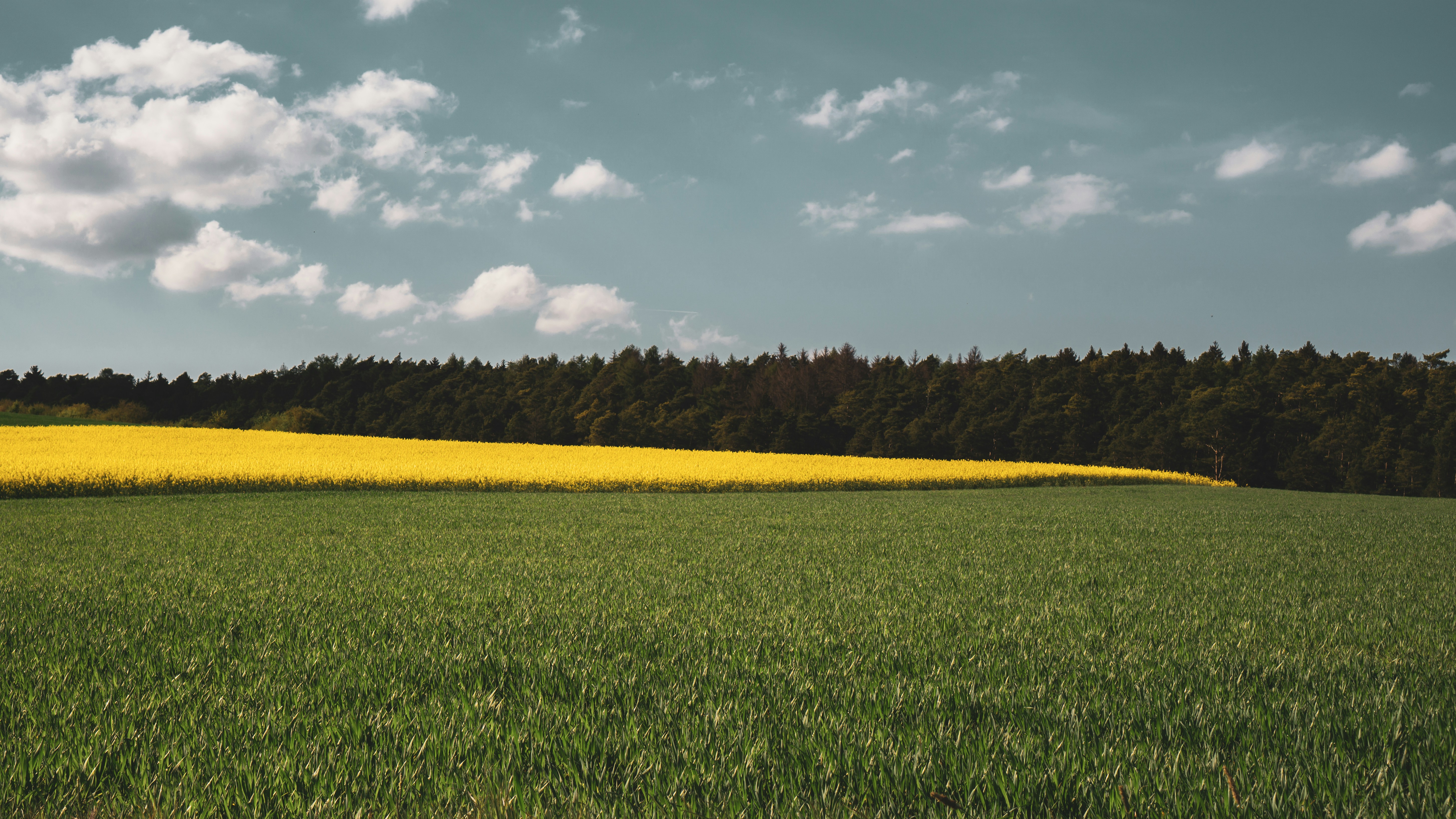 Photo by justusmenke