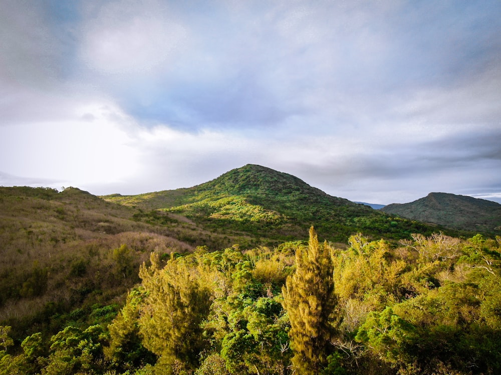 green and yellow trees on mountain under white clouds during daytime