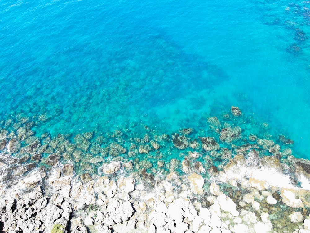 roches grises au bord de la mer bleue pendant la journée